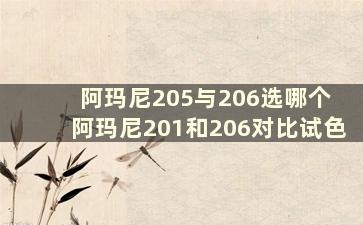 阿玛尼205与206选哪个 阿玛尼201和206对比试色